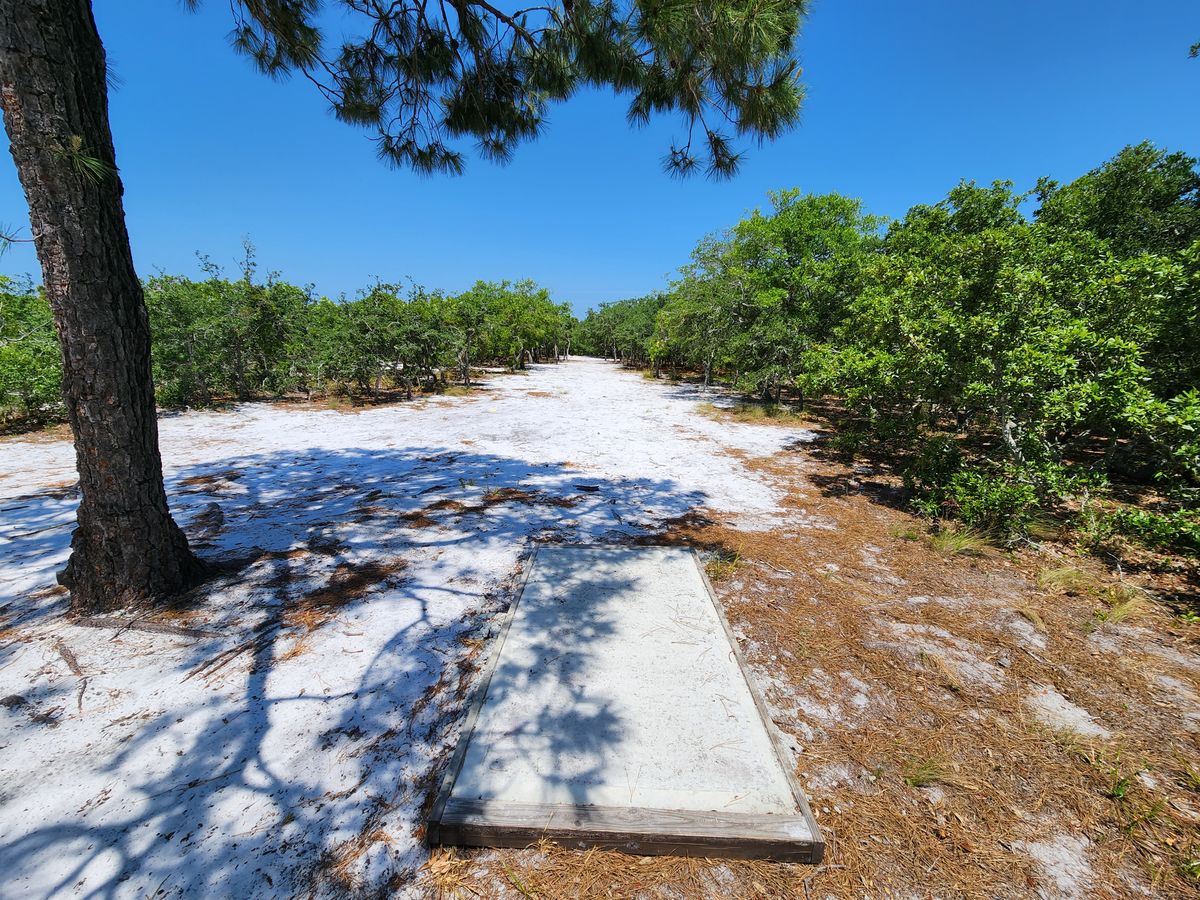 Hole 5 short tee
