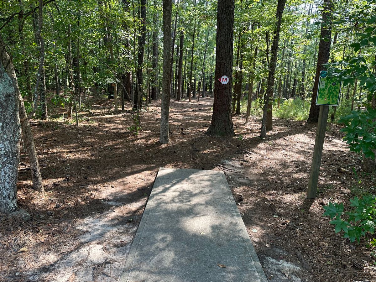 Hole 2 Tee