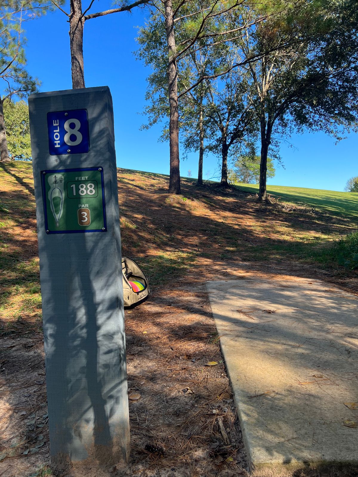 Hole #8 will take all of your arm to get it close. Birdie possible.