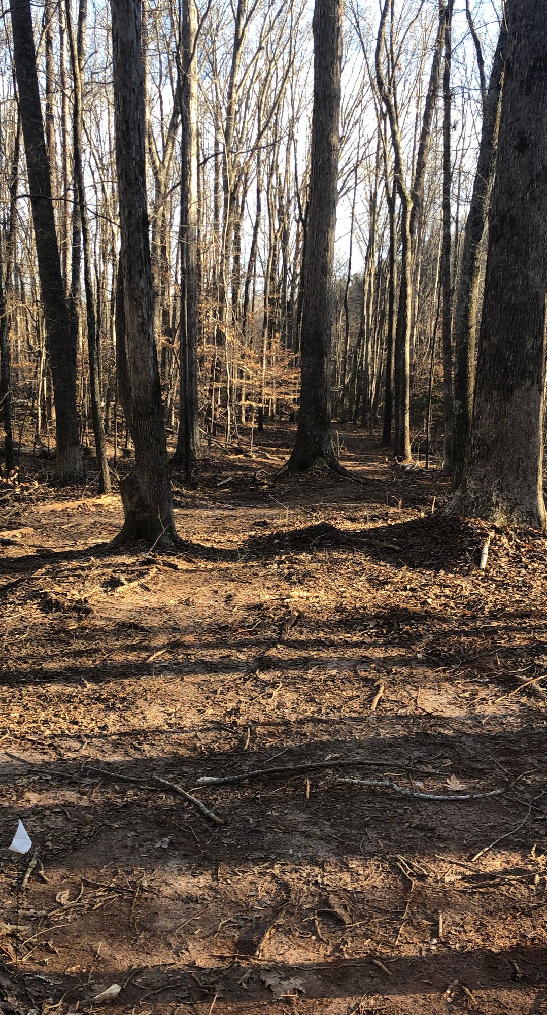 Hole 7 Tee