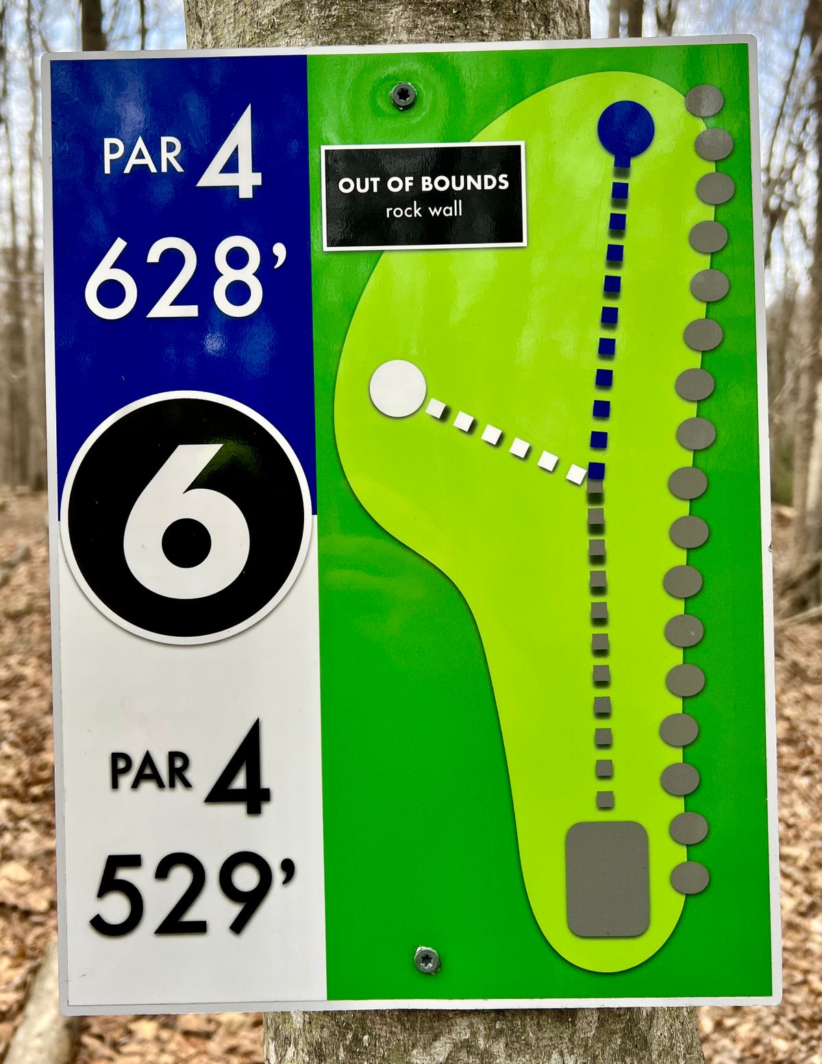 Hole #6