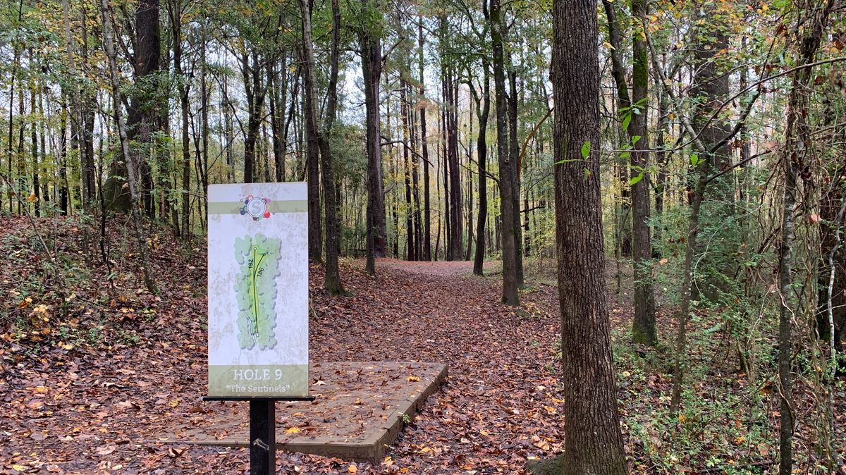 Hole 9