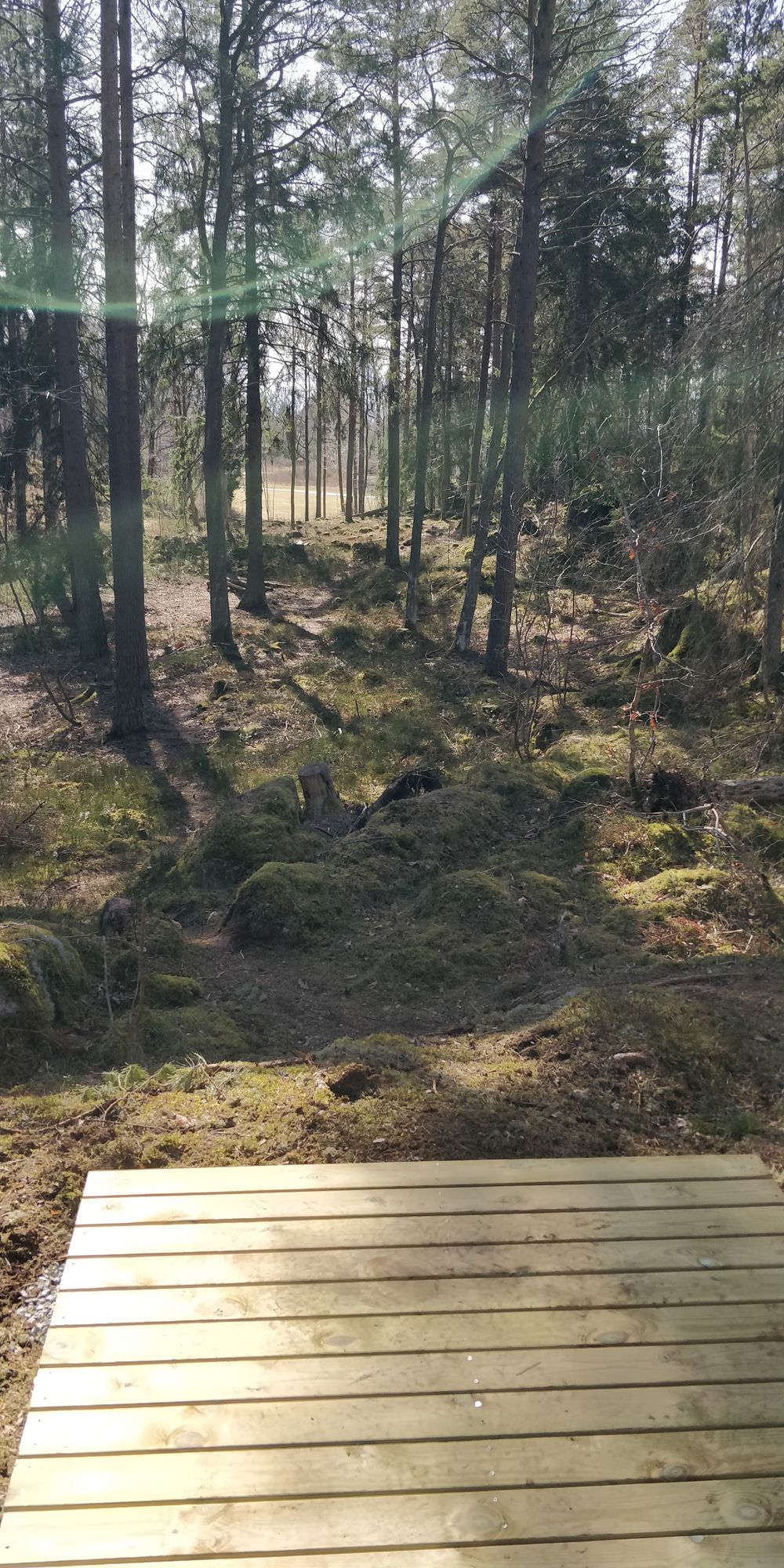 Tee hål 13