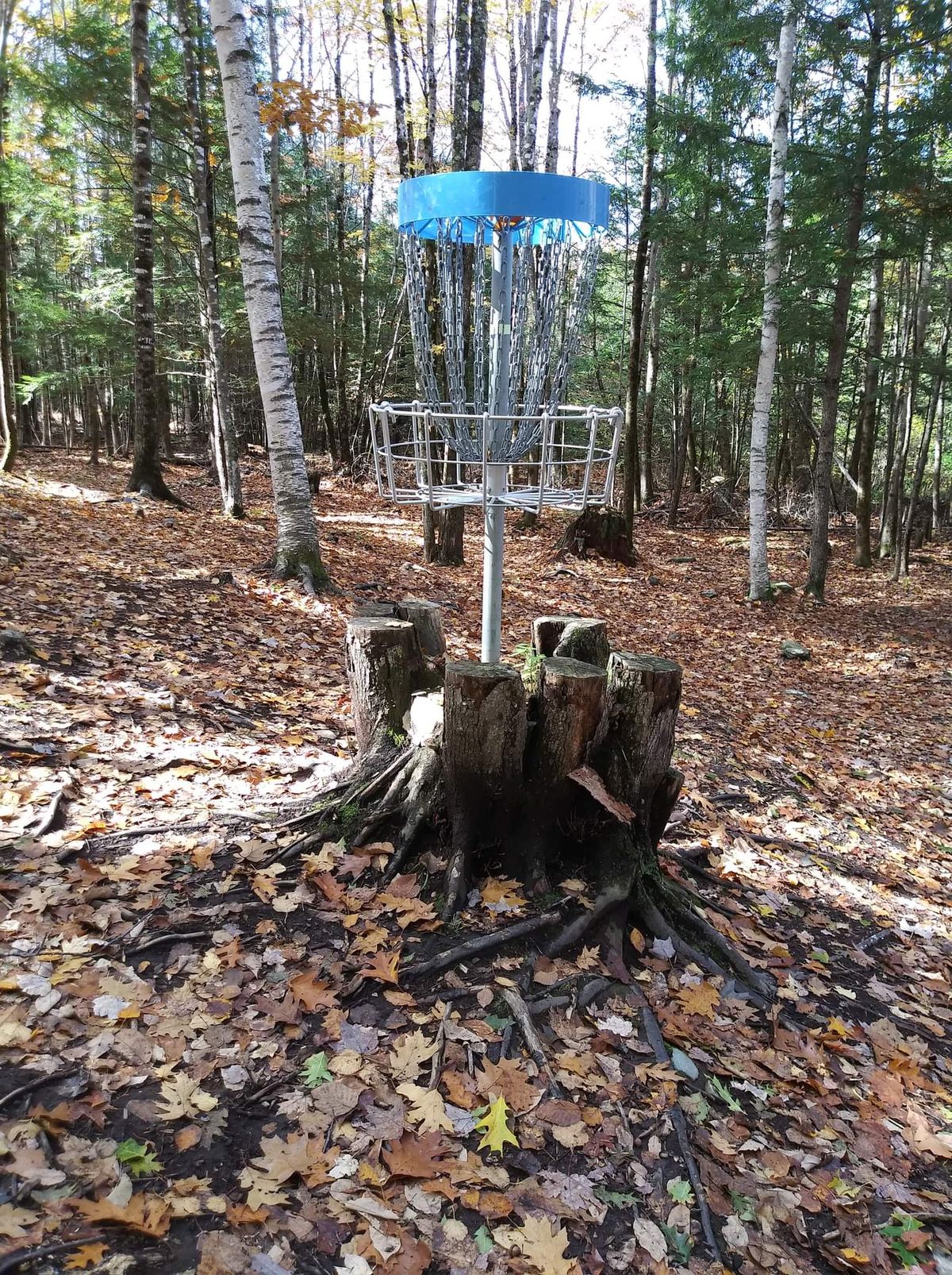 New Disc Golf Park basket on Hole C