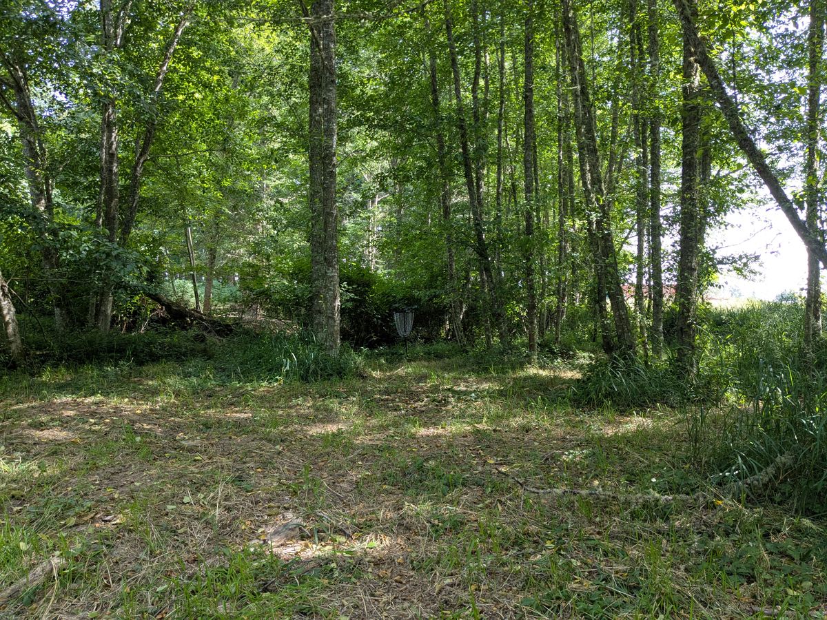 Hole 12 Basket