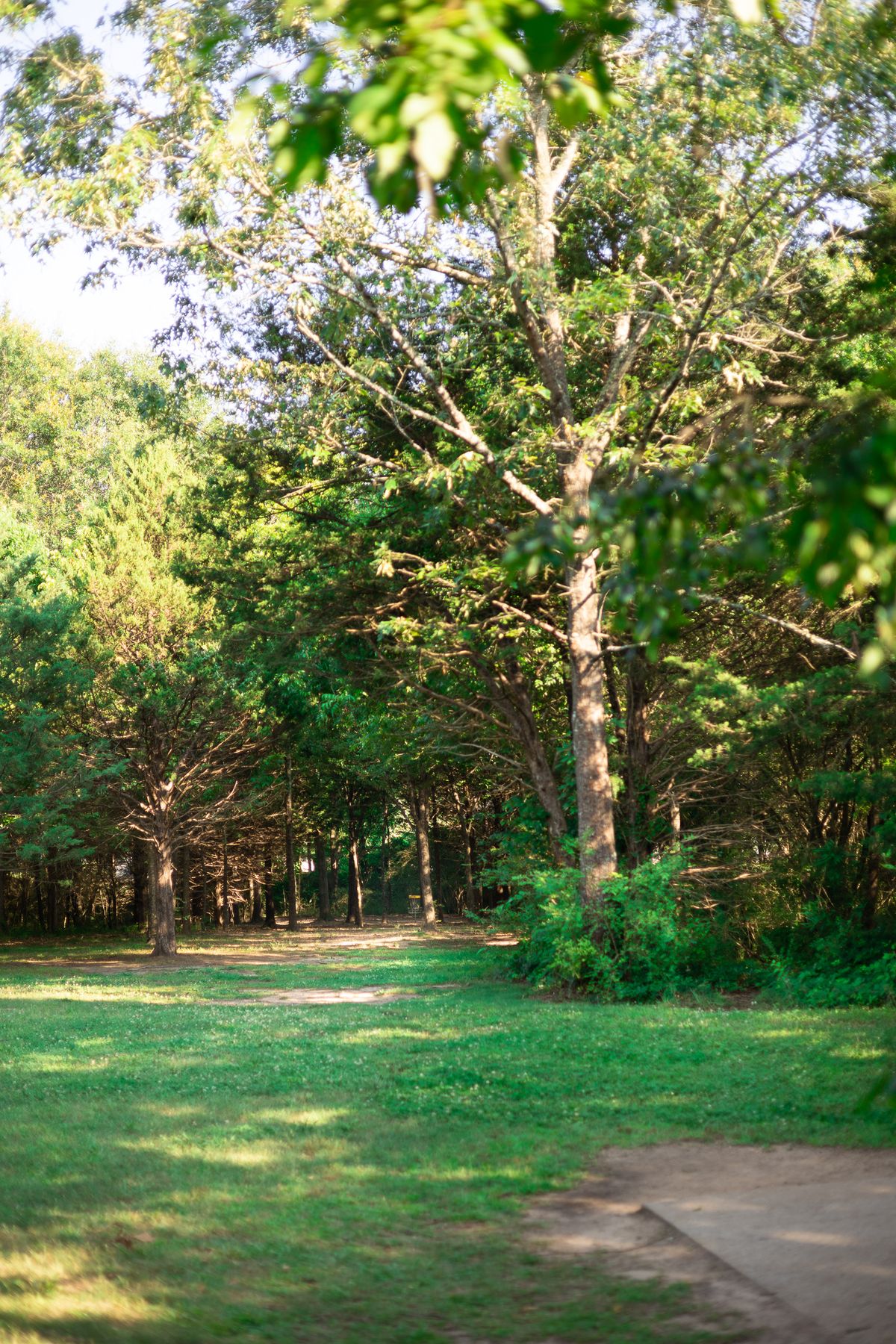 Hole 4 Short