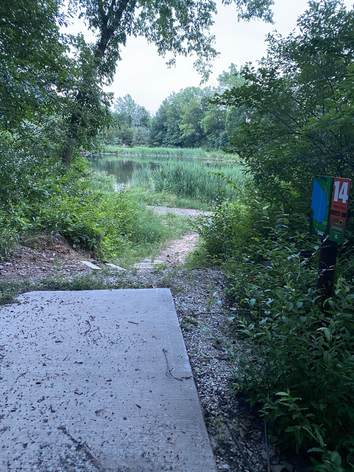 Hole 14 long tee