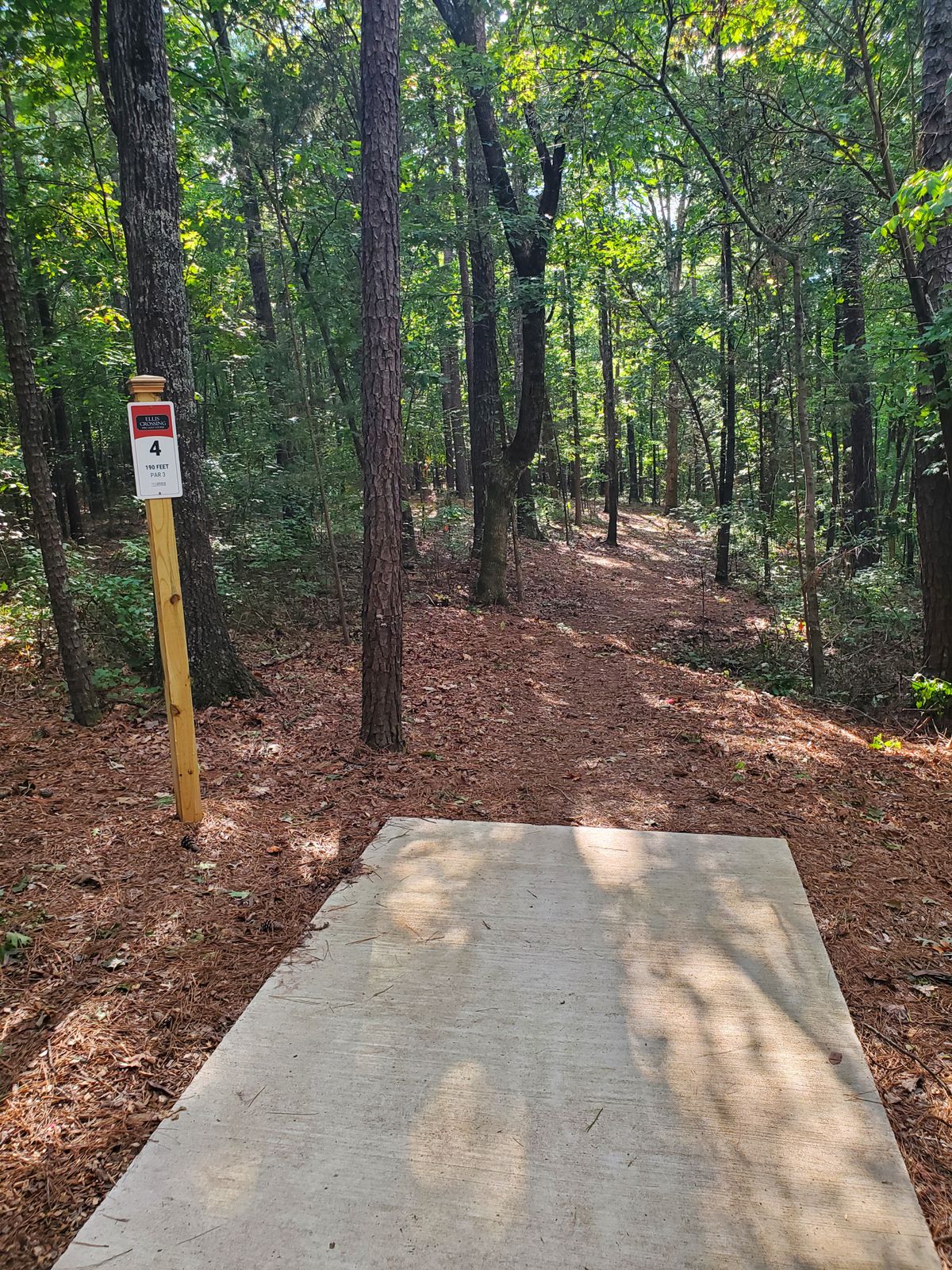 Hole 4 tee