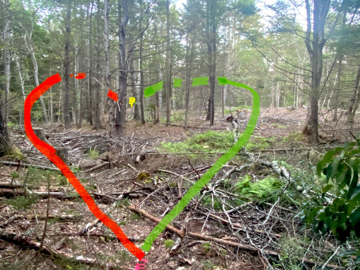 Hole 5 prior to being cleaned up. This was first iteration of hole. Now it’s an Ace run hole.