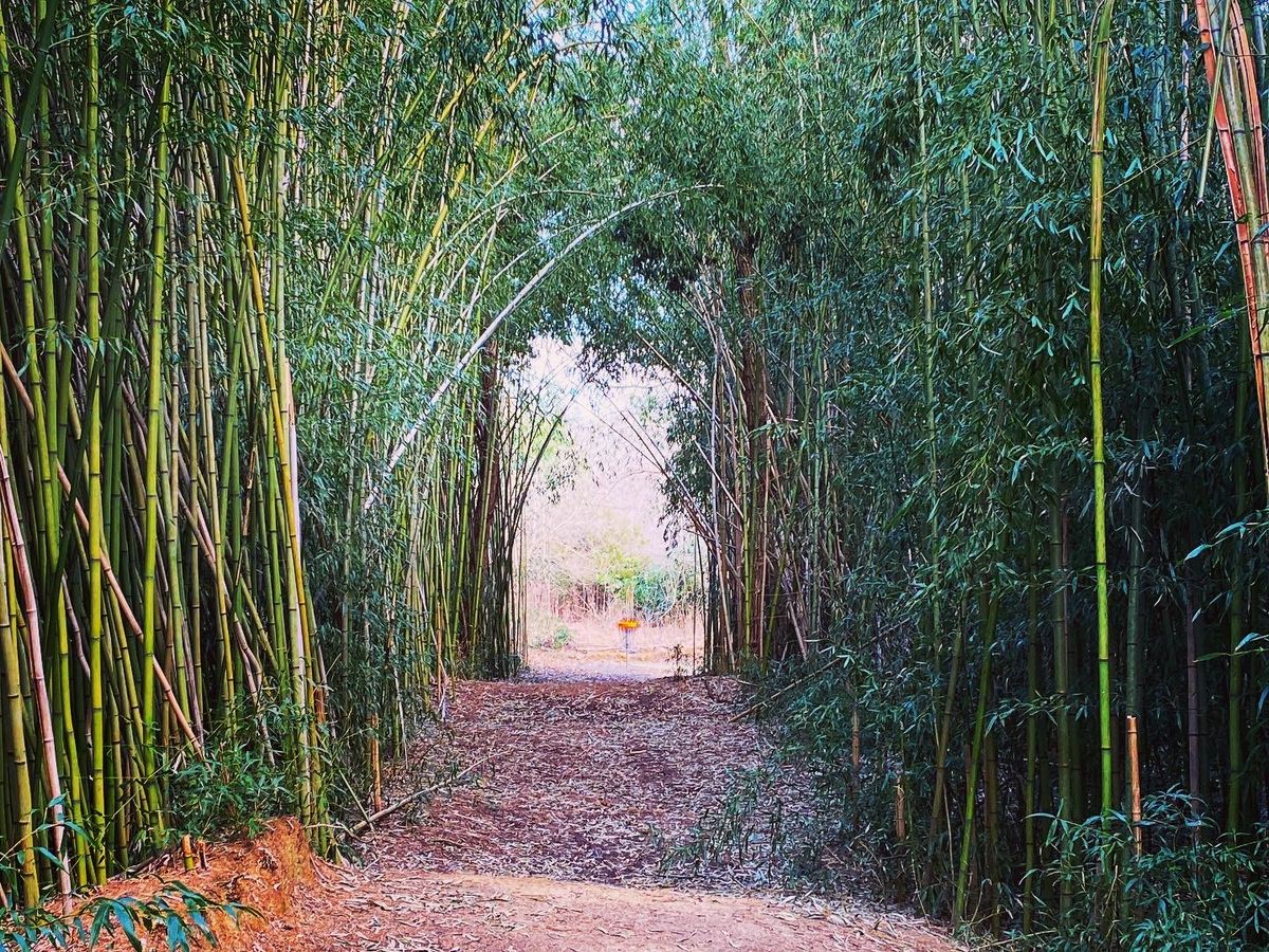 Light at the end of the tunnel