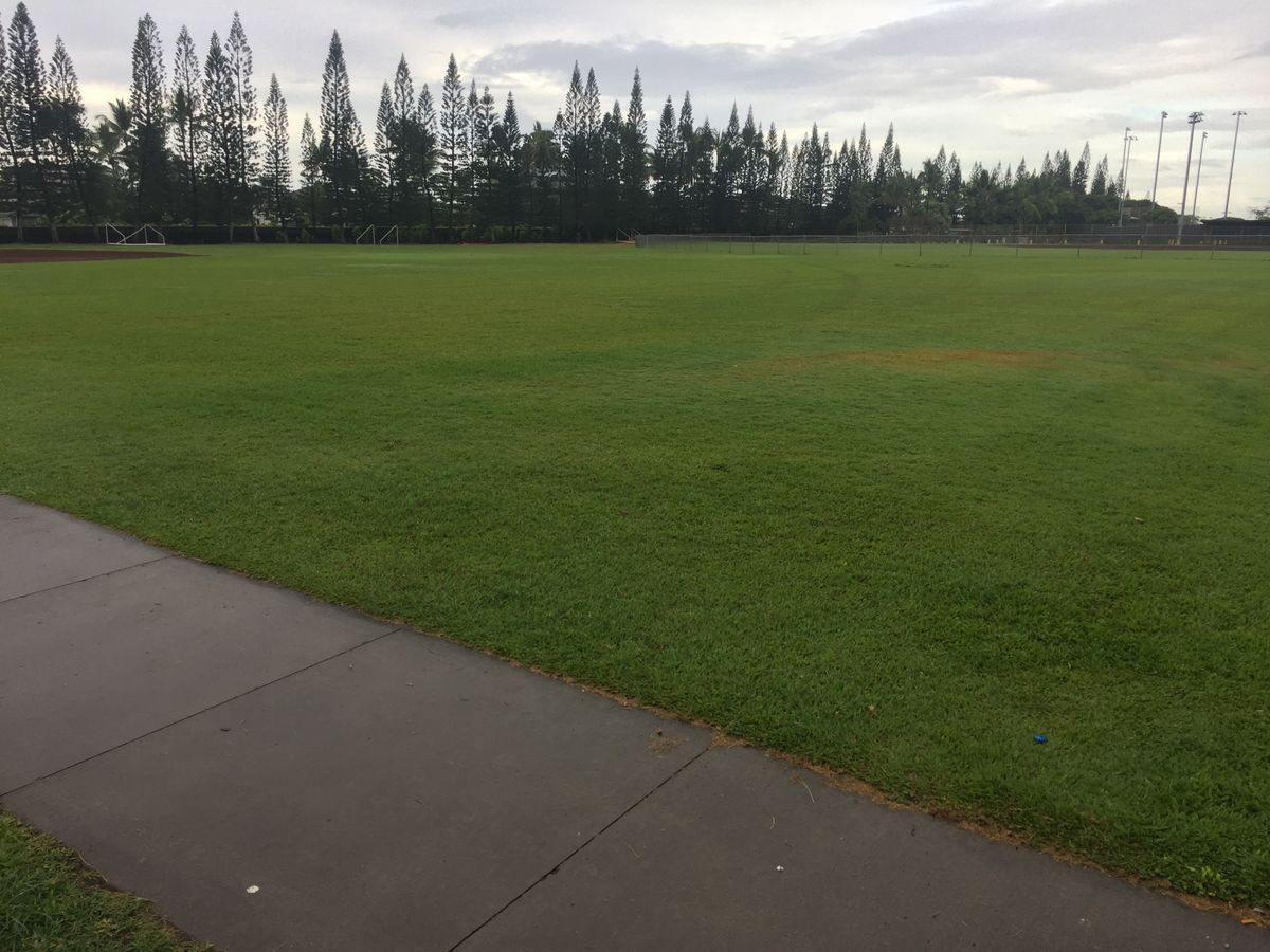 Hole 3 - across the field. Right fence is OB