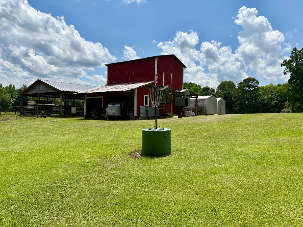 Hole 17 basket