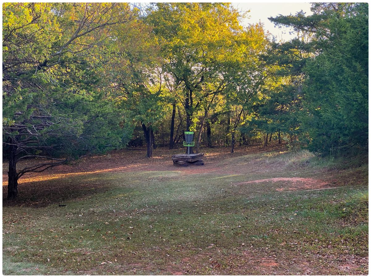 #6 Fairway midway- ahead to basket
