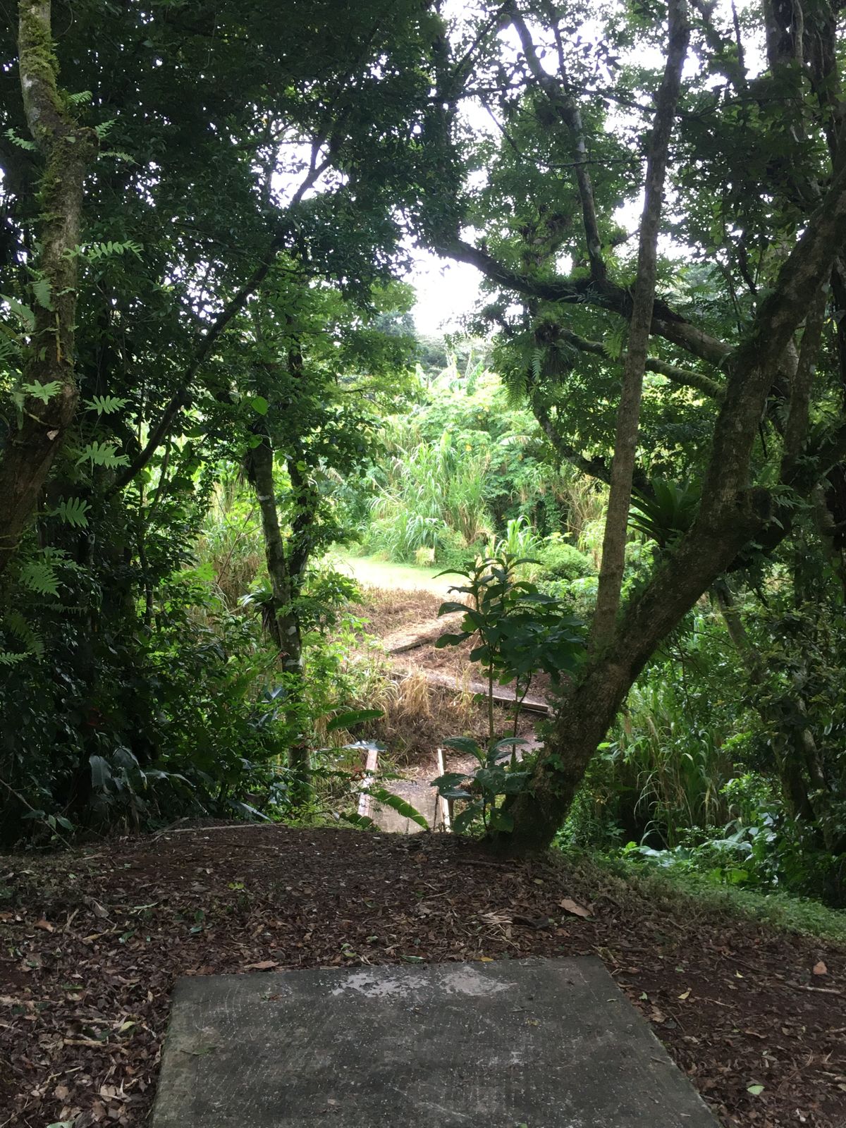 Hole 7 Long Tee