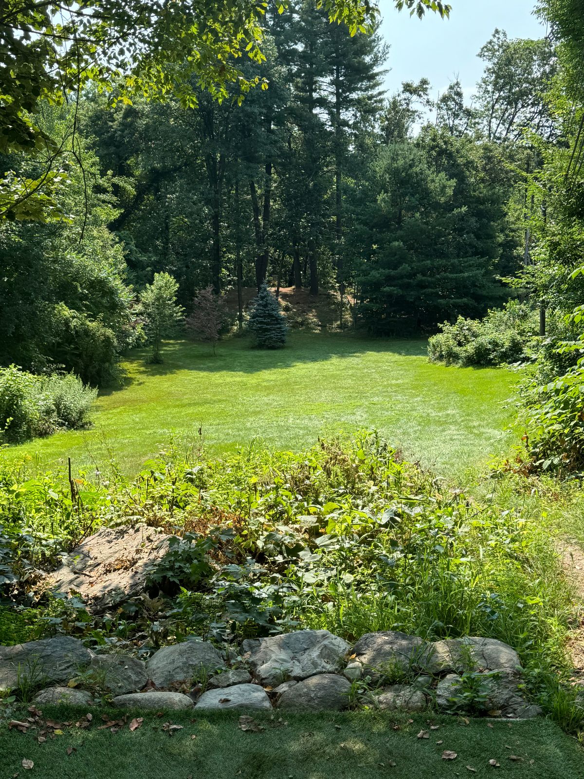 Hole 11 July 2024