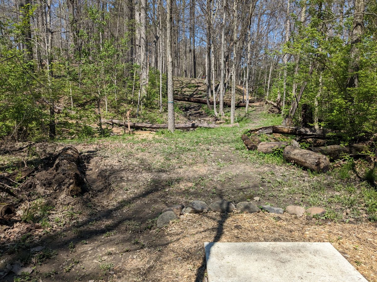 #5 from Tee Pad