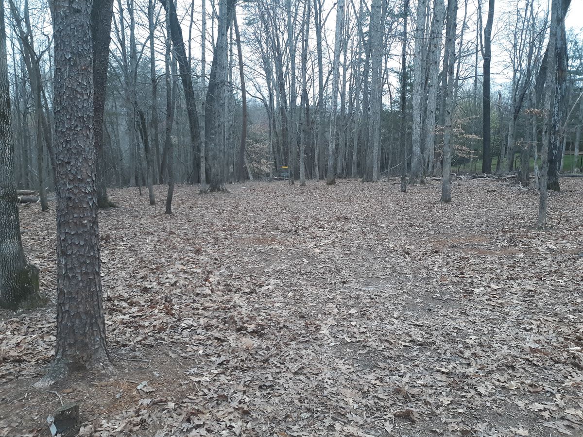 Hole 6 continued