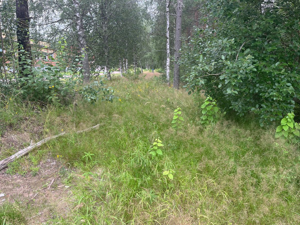 Hole 1