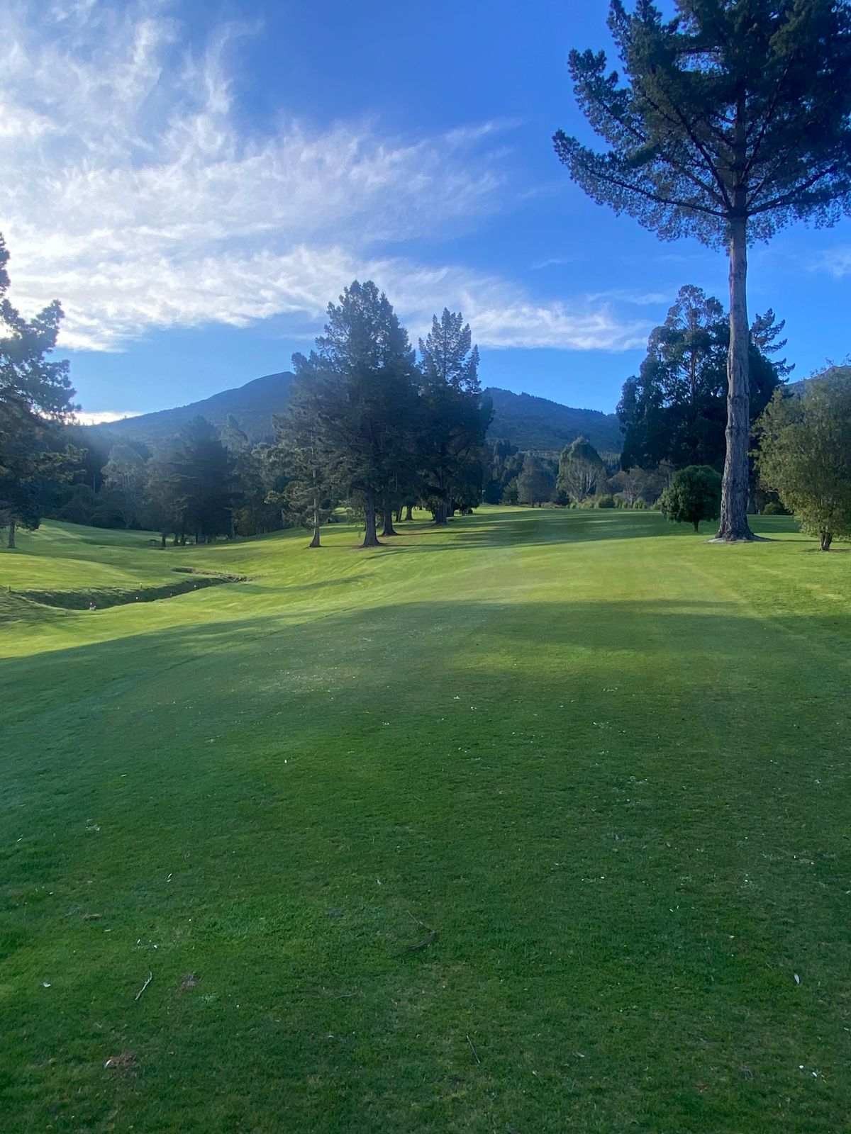 Hole 4