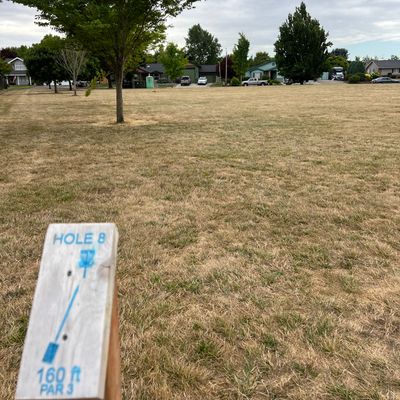 Easy putter approach or another ace run!