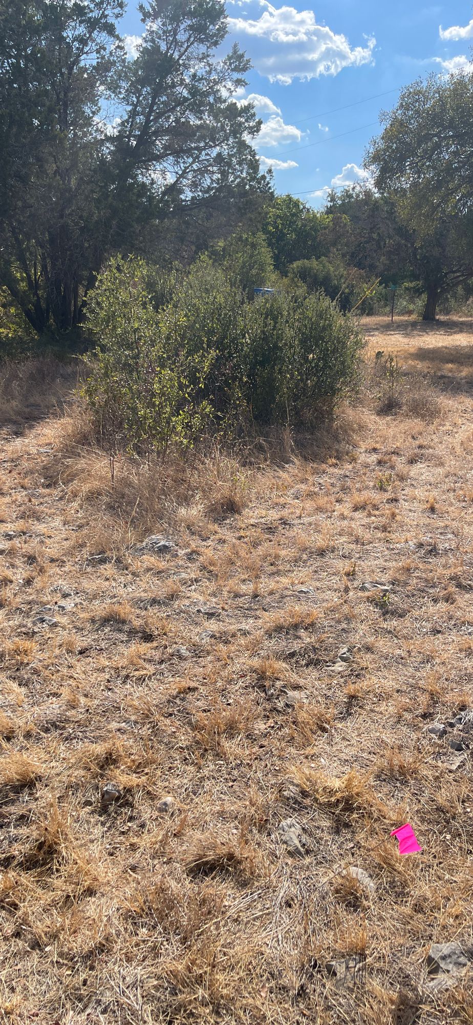 Hole 7