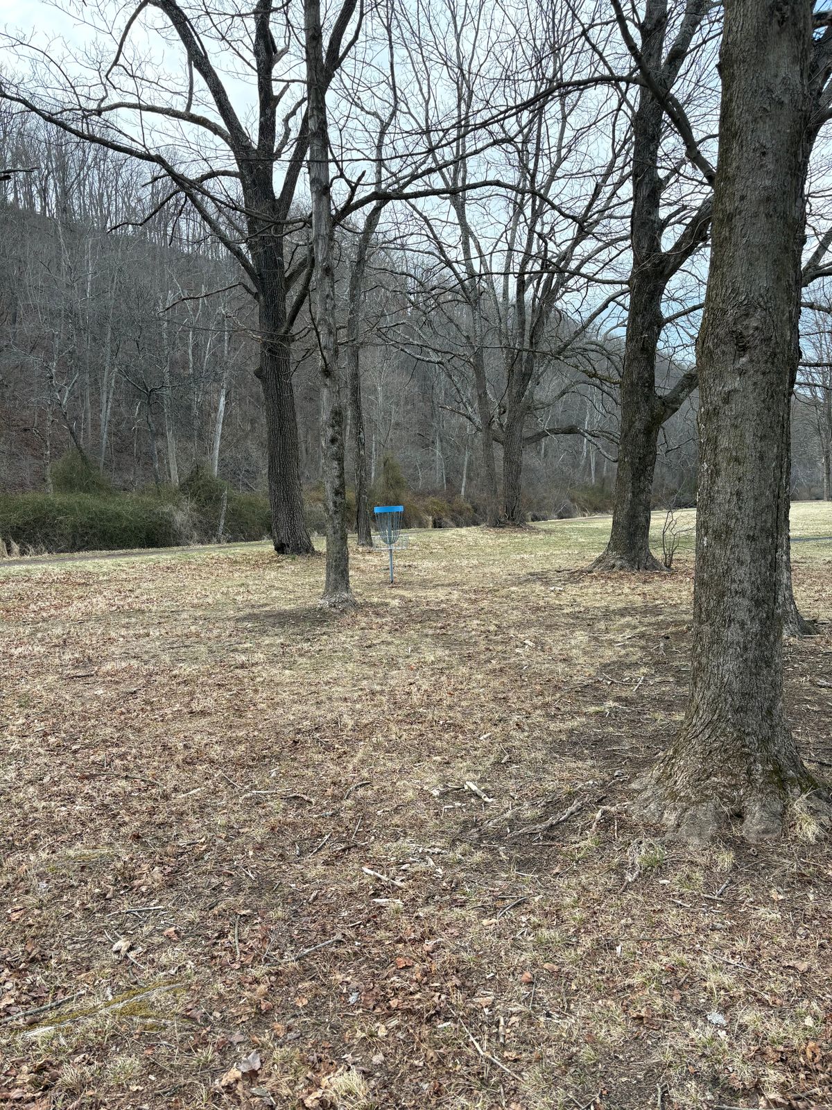 New hole 10 is pushed almost to the path straight ahead of the tee behind a tree cluster.
