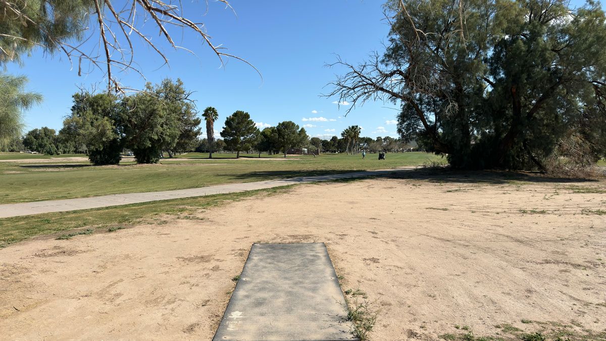 Hole 5 tee
