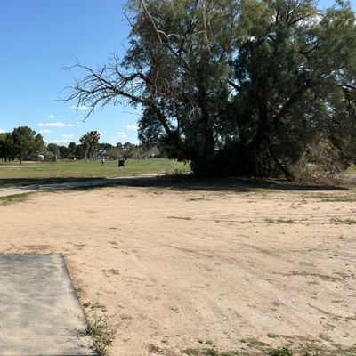 Hole 5 tee