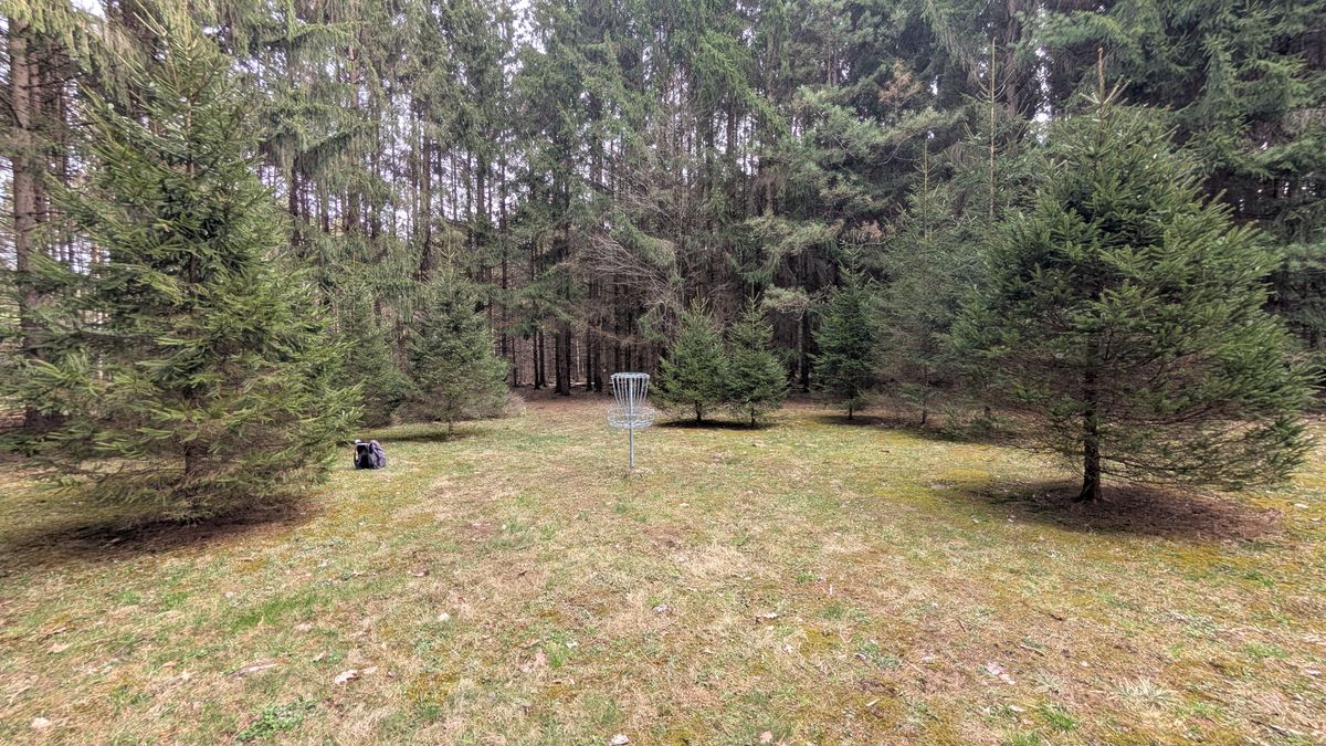 Hole 4 green