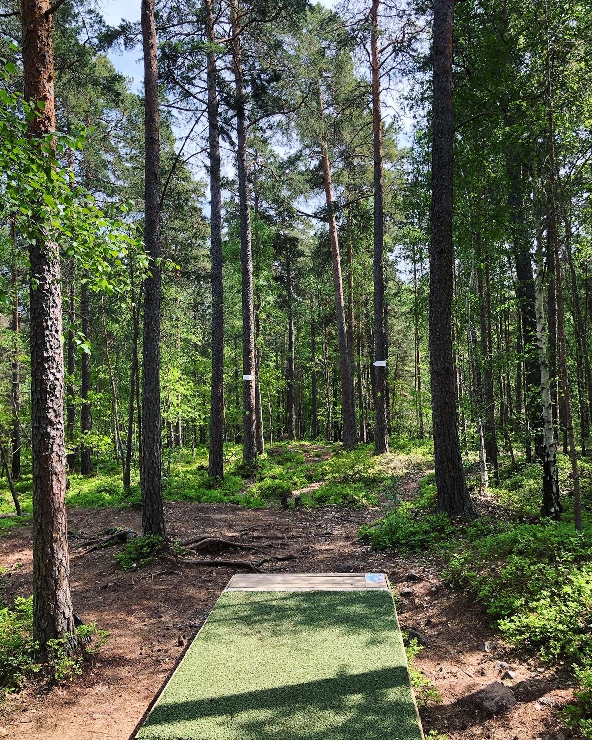 4. Blå