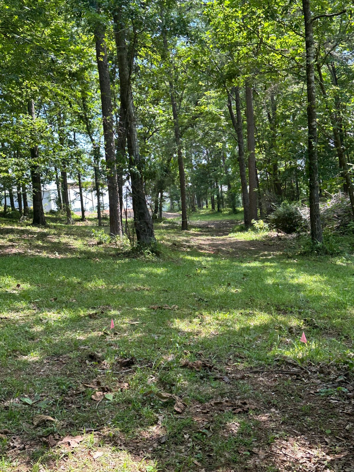 Hole 15 short and senior tee