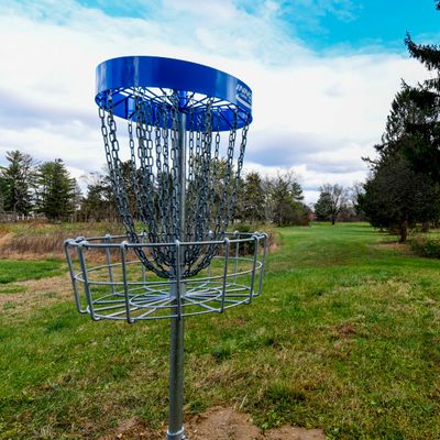 Hole 2 Basket
