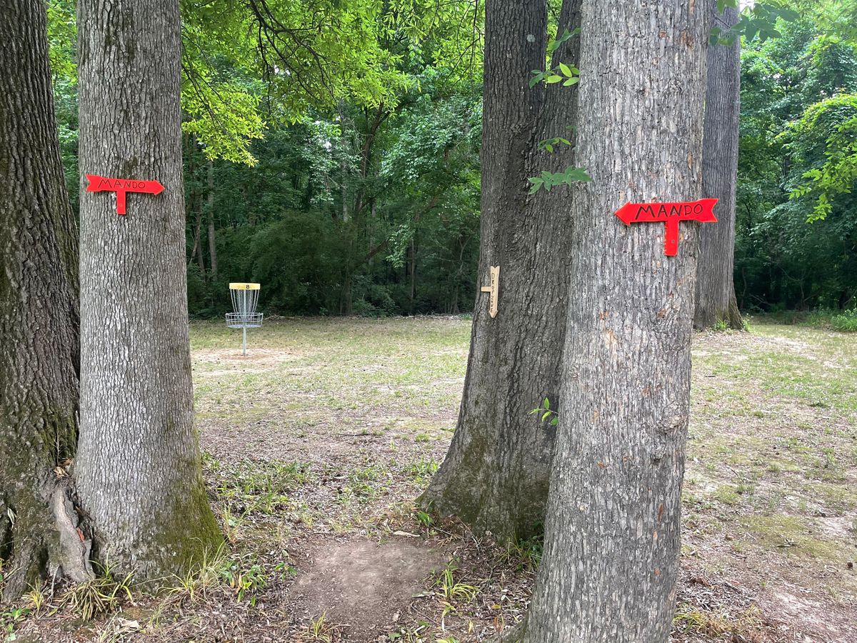 Drop Zone between Trees