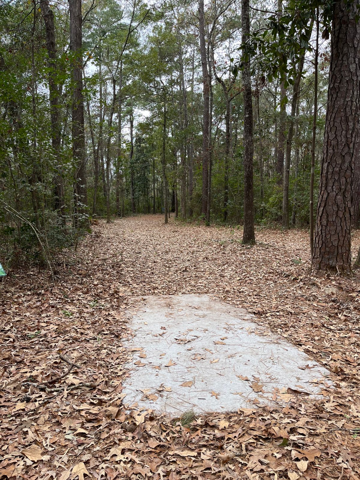 Hole 4 (short)