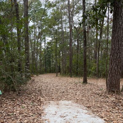 Hole 4 (short)