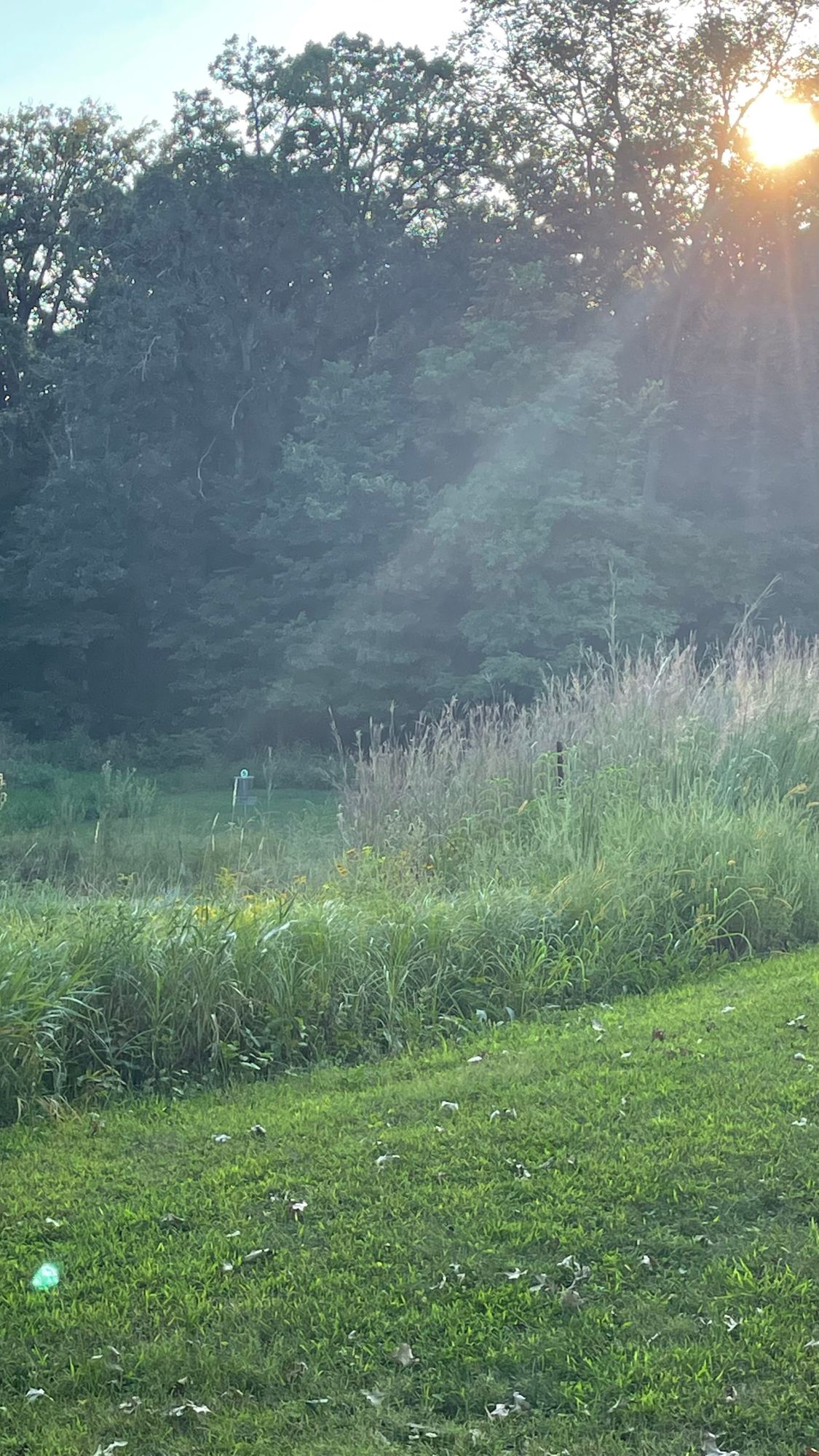 Hole 5