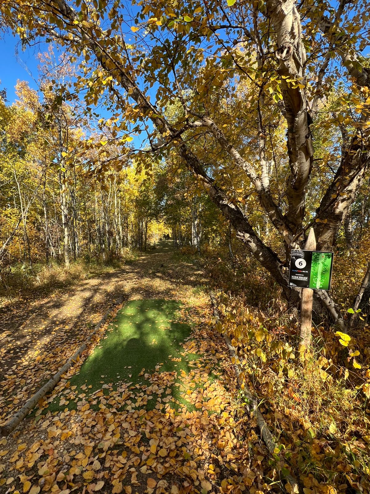 Hole 5 Tee Pad