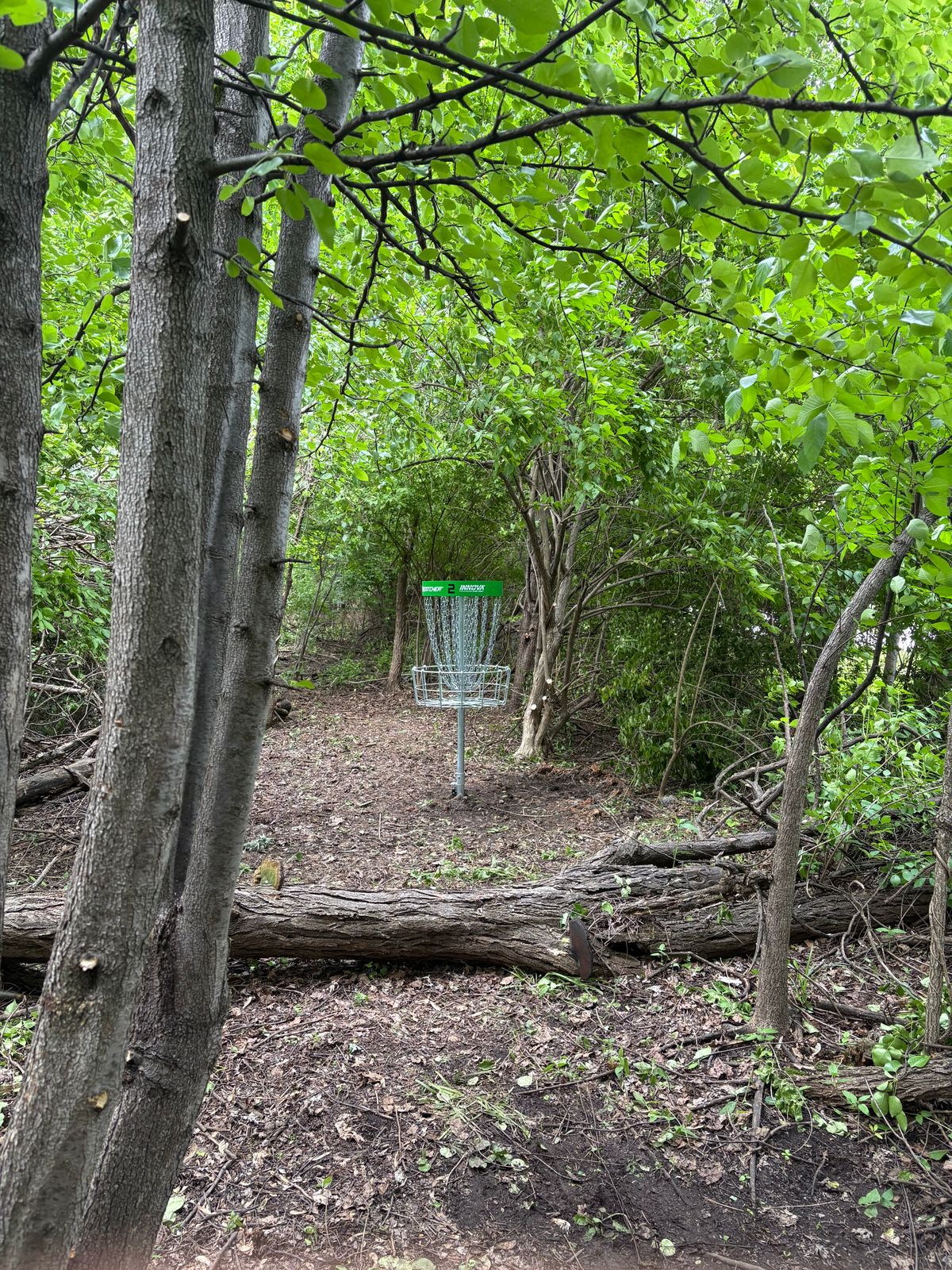 Hole 2