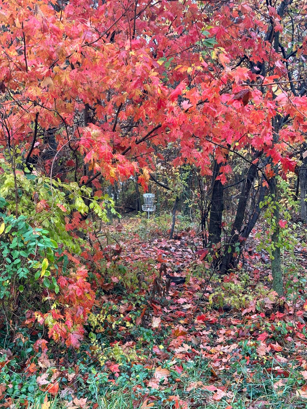 Hole 17 in the fall.