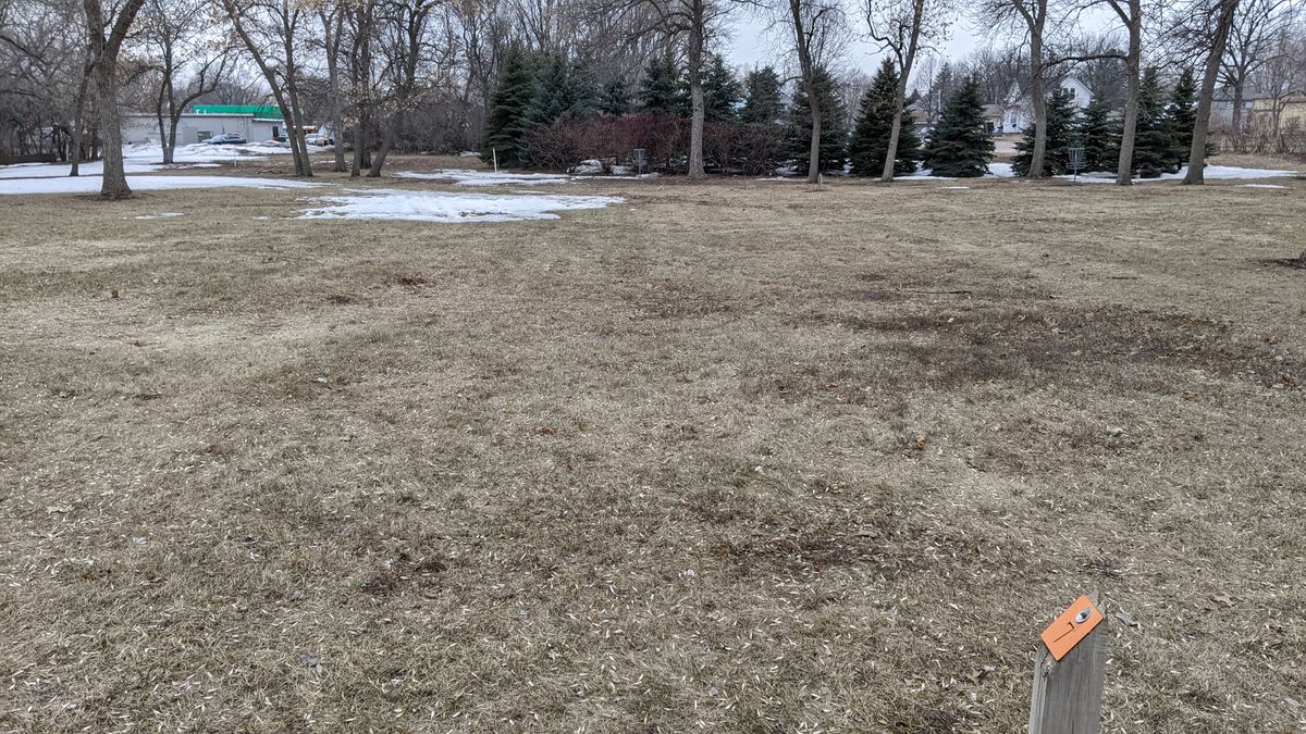 Tee #7
