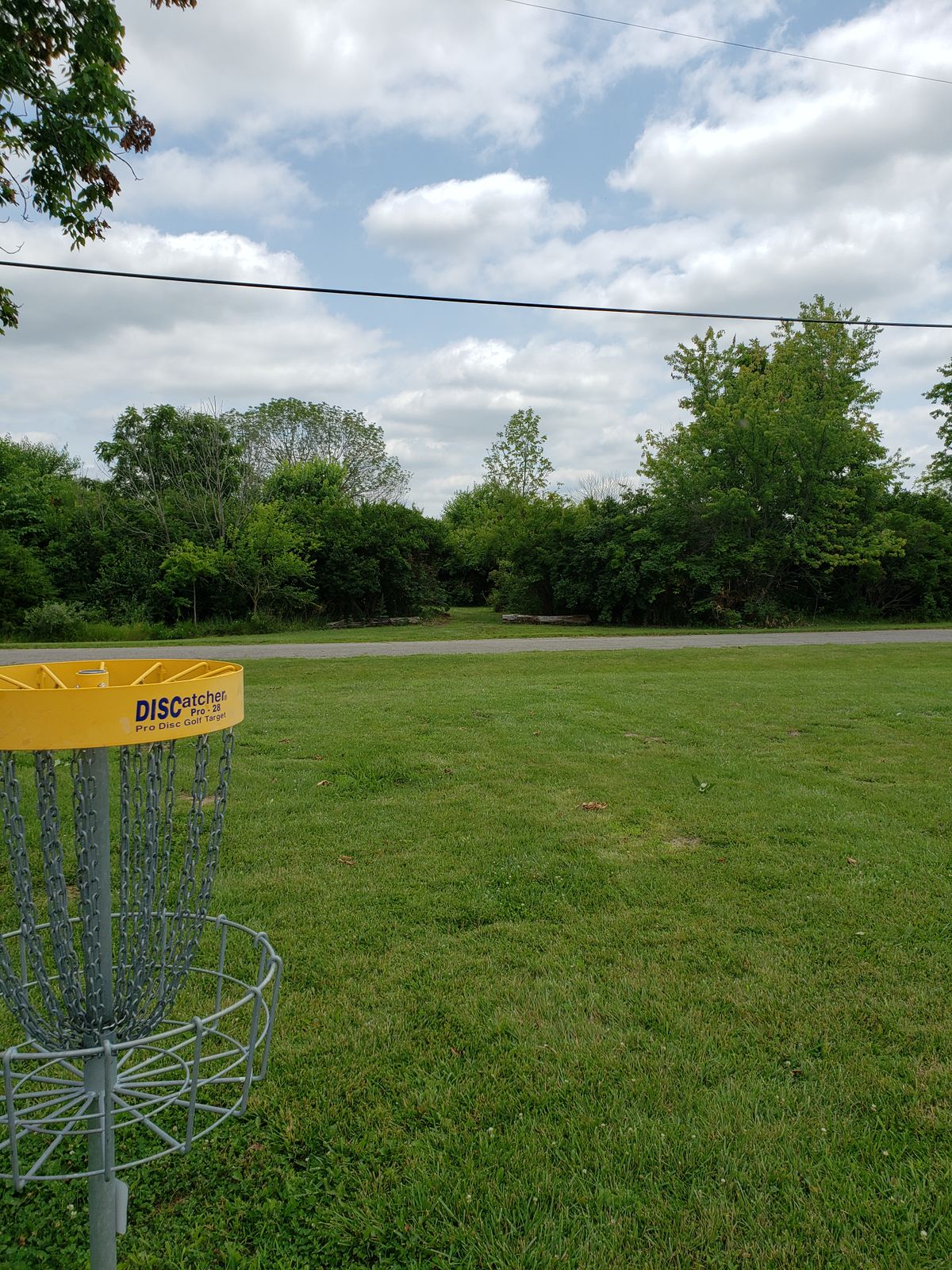#5 Basket facing toward #6 Pathway.