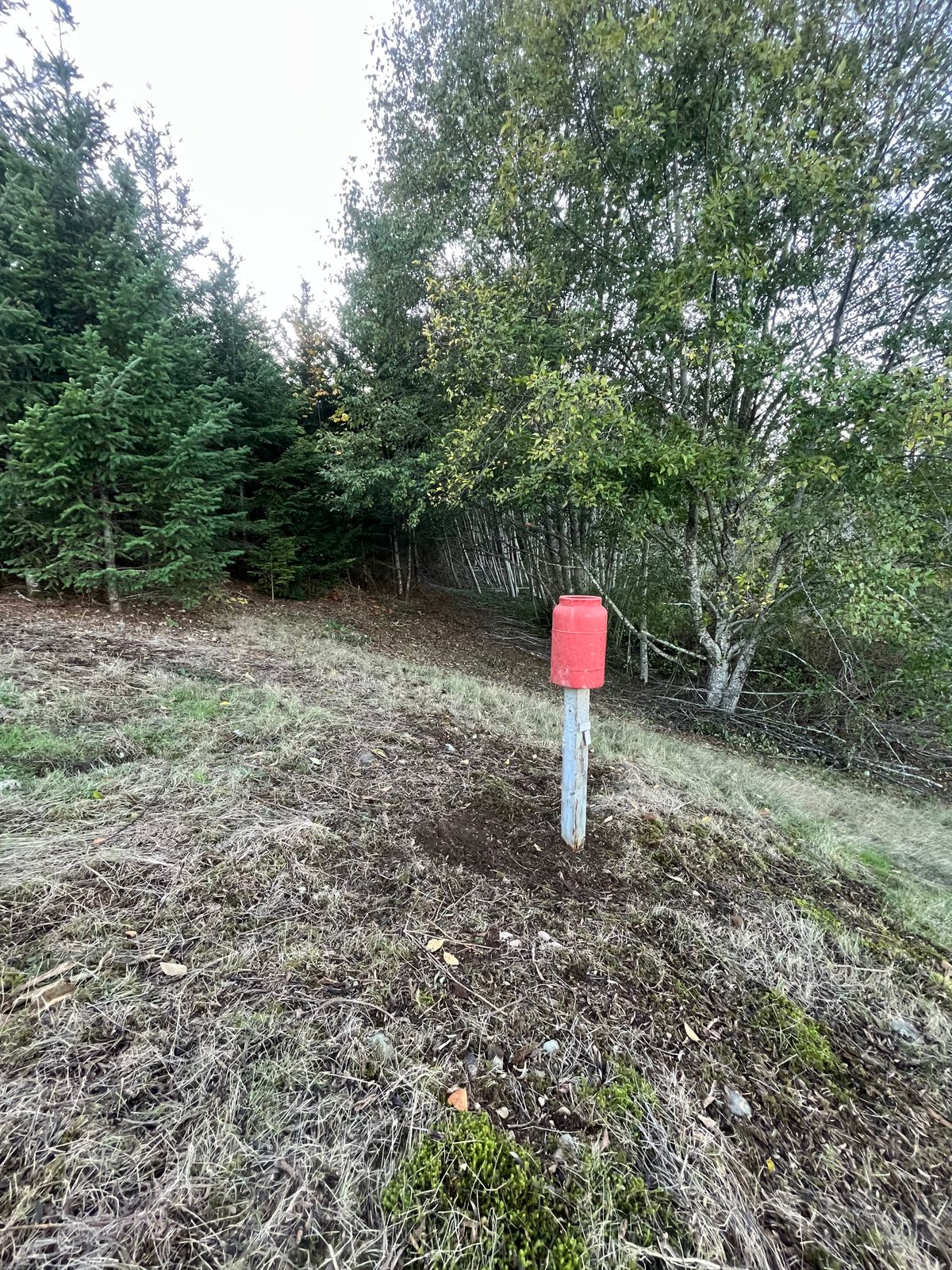 New hole #16 pin position