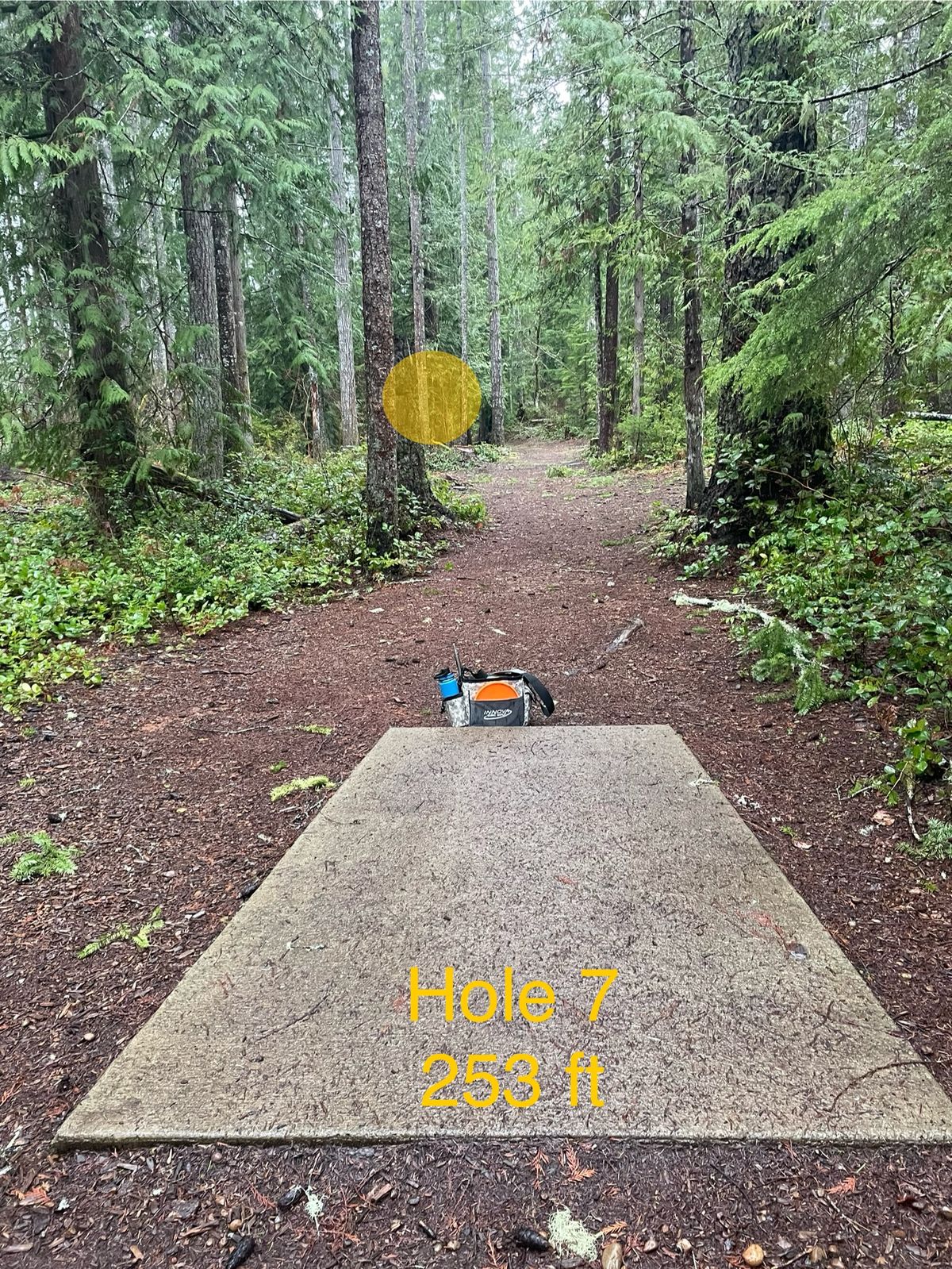 Hole 7