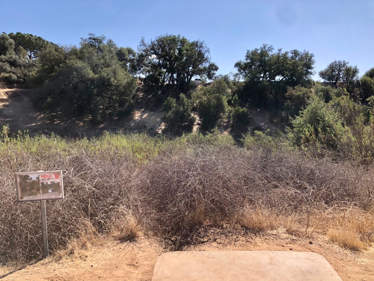 Hole 9