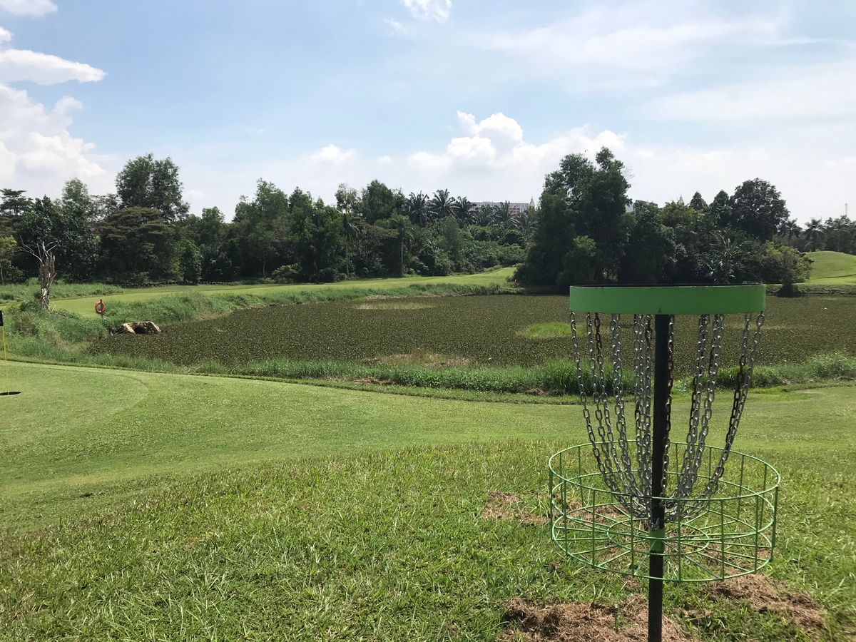 Basket for hole 4