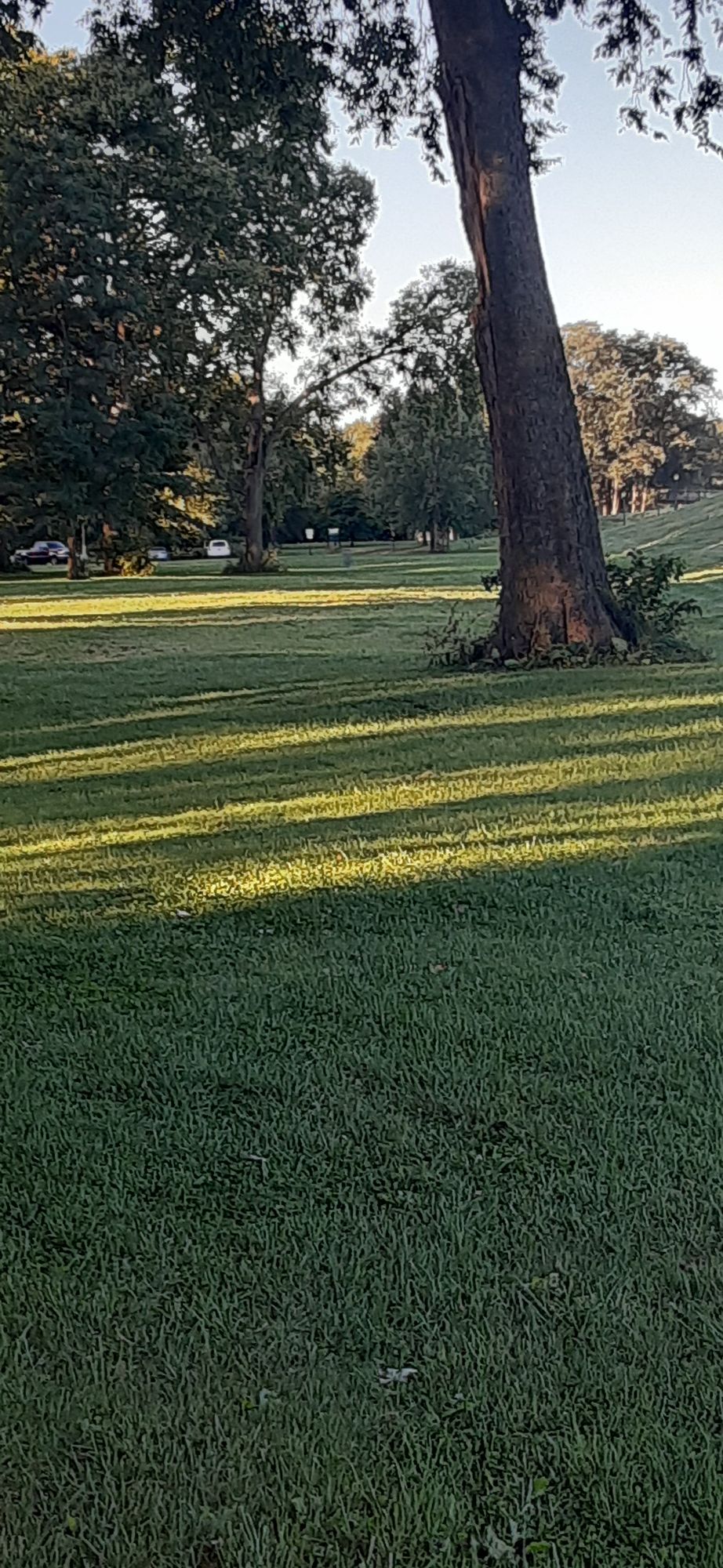 Hole 8 from tee