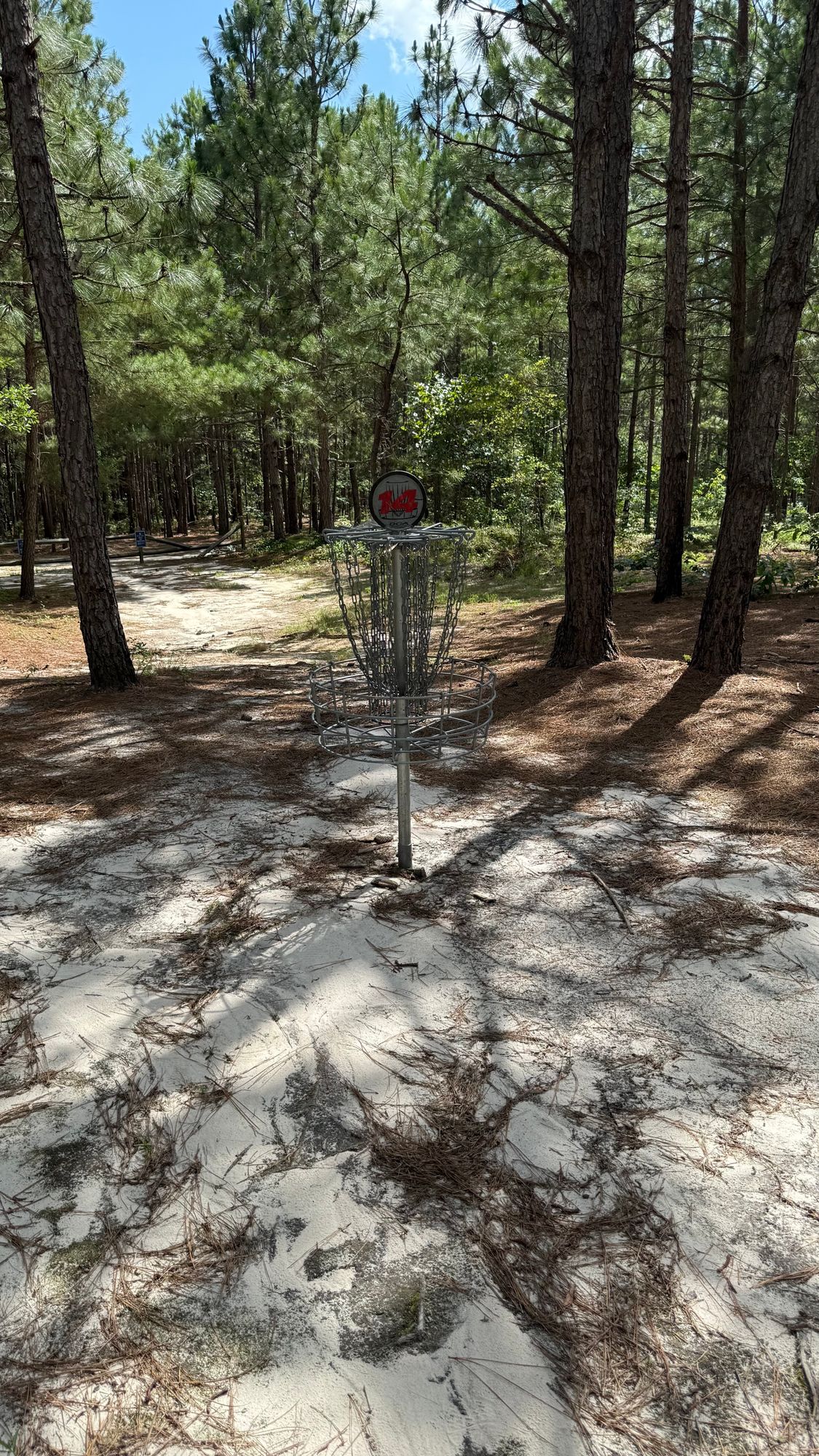 Hole 14 Basket