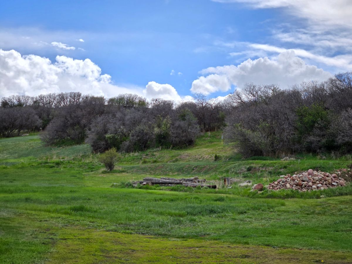 Hole 1 from tee