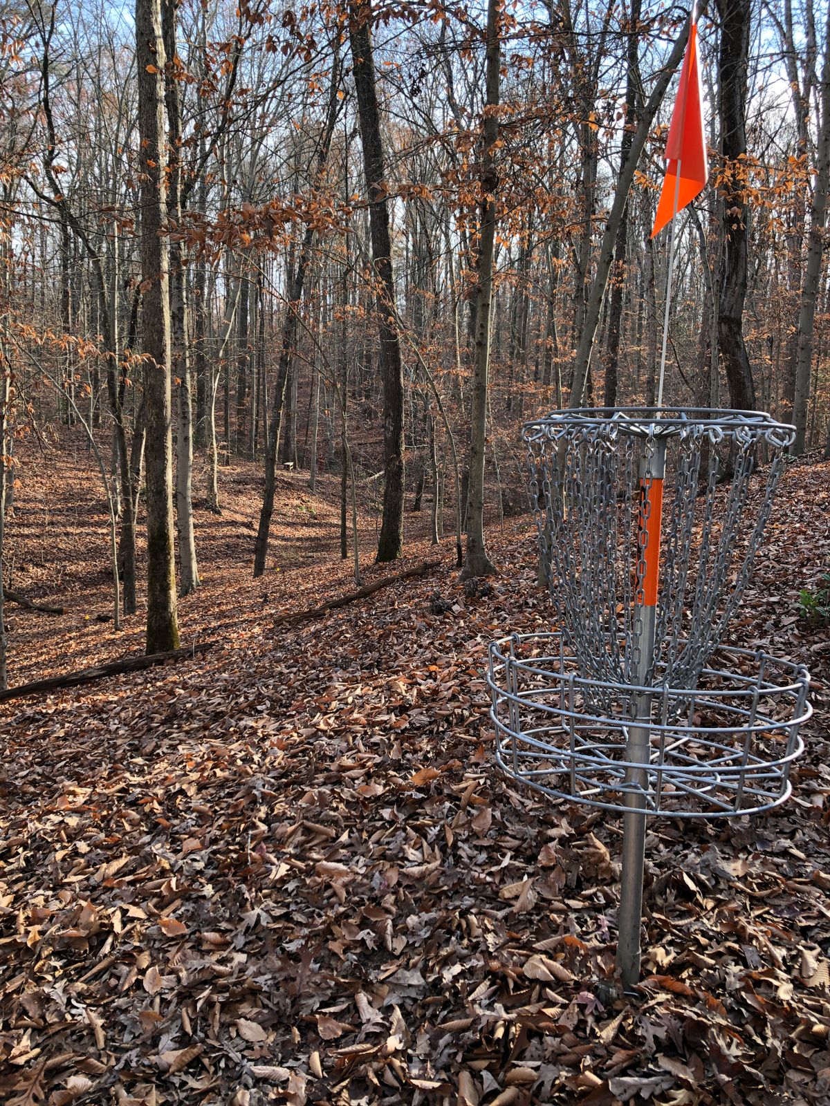 Hole 13 basket (looking back toward tee)