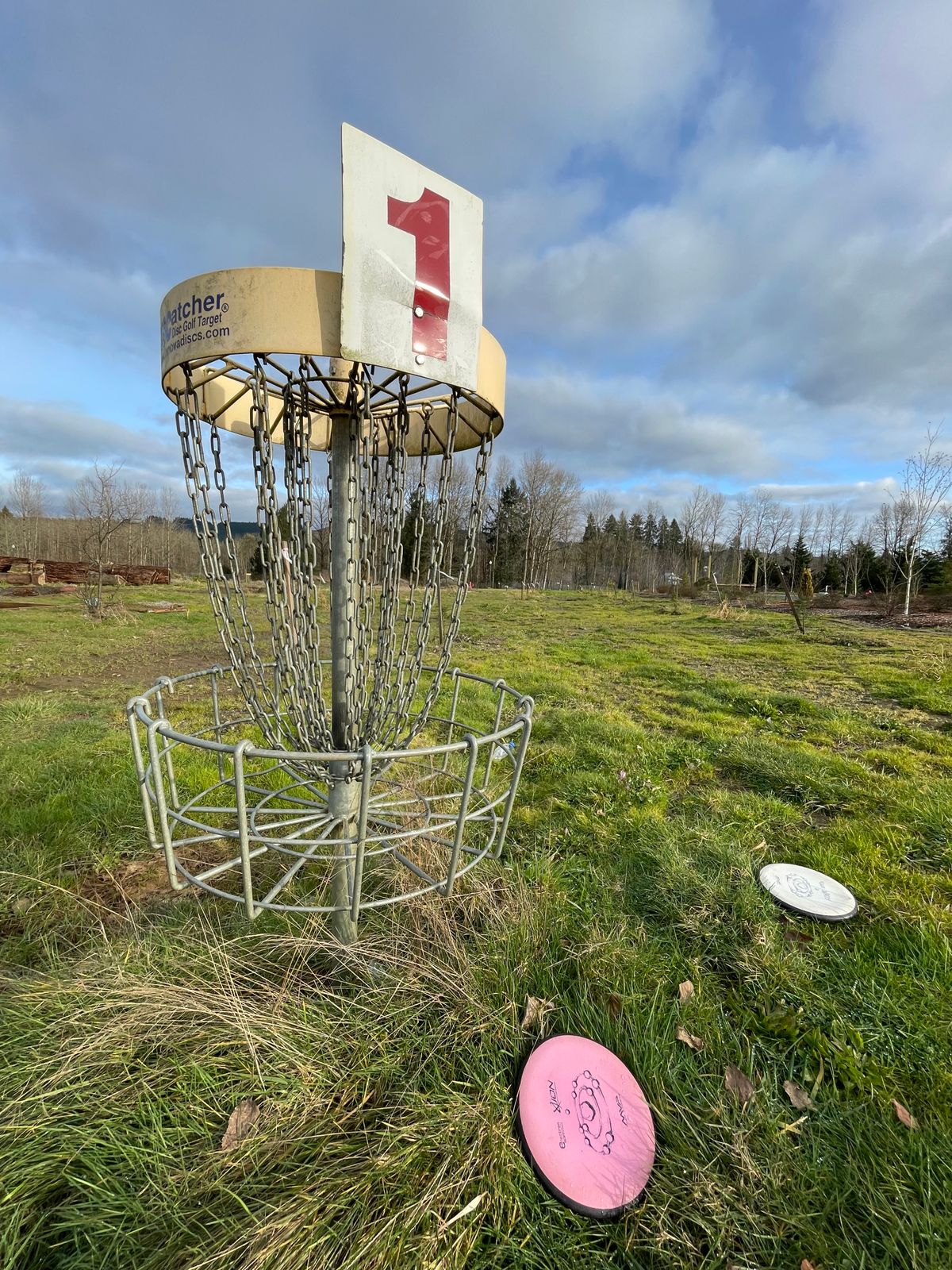 Very short basket on 1